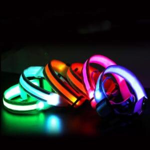 ecf869a8 c665 4cd5 bc33 8dd87d9cb811.jpg